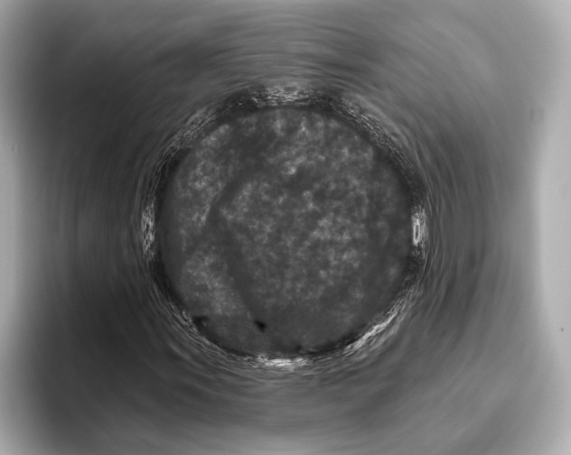 X0000093481011200711020929