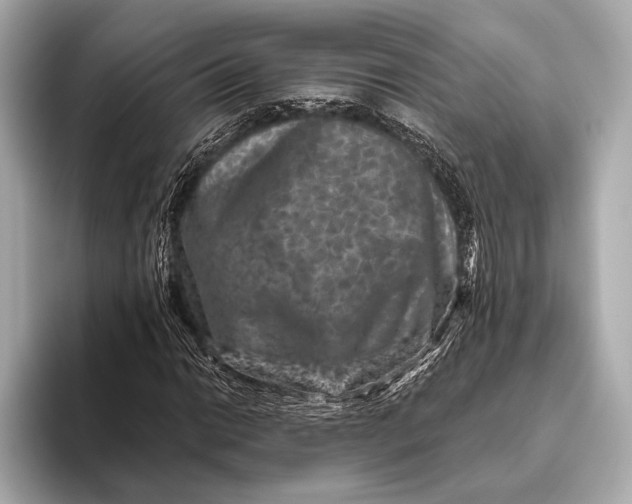 X0000093481014200711020929