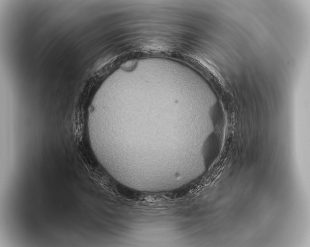 X0000093481015200711020929