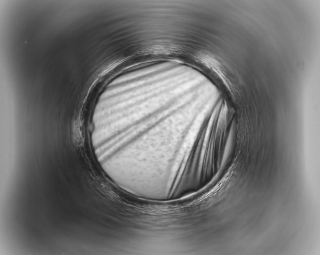 X0000093481018200711020929