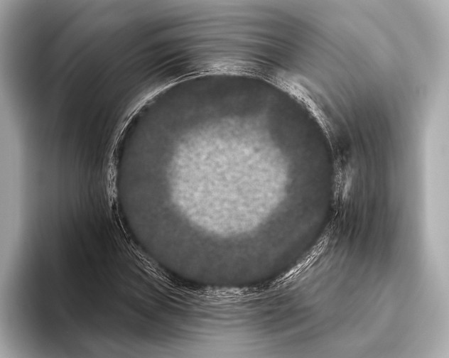 X0000093481019200711020929