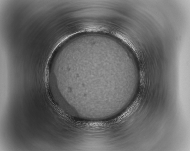 X0000093481021200711020929