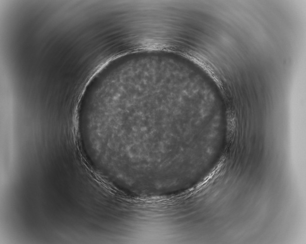 X0000093481023200711020929