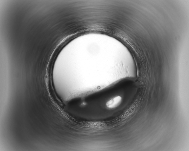 X0000093481024200711020929