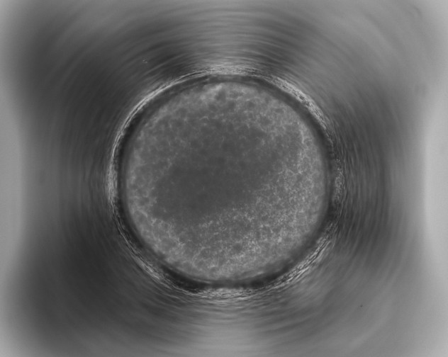 X0000093481027200711020929