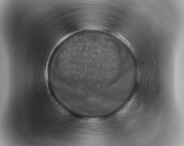 X0000093481028200711020929