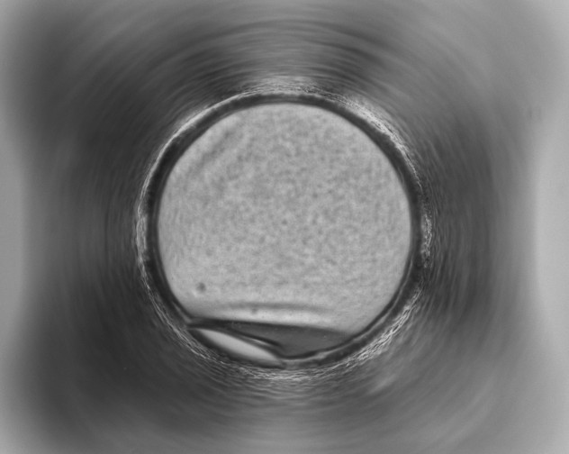 X0000093481029200711020929