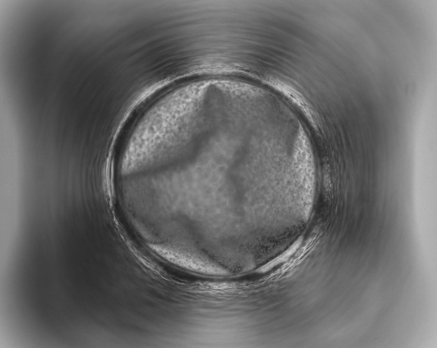 X0000093481030200711020929