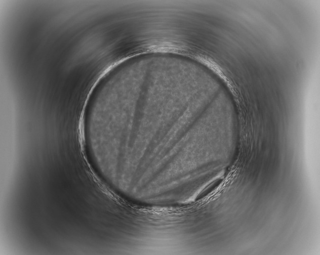 X0000093481032200711020929