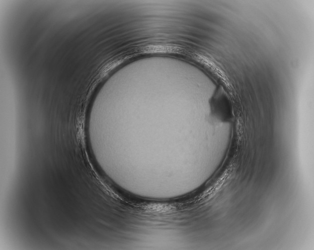 X0000093481033200711020929