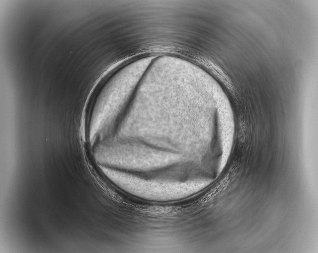 X0000093481036200711020929