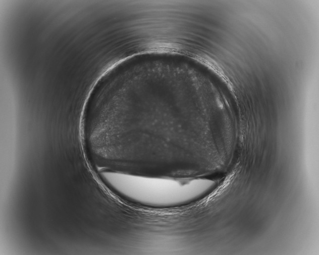 X0000093481037200711020929