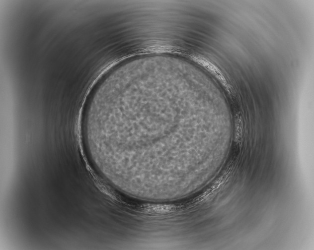 X0000093481039200711020929