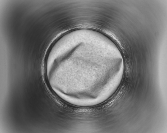 X0000093481040200711020929