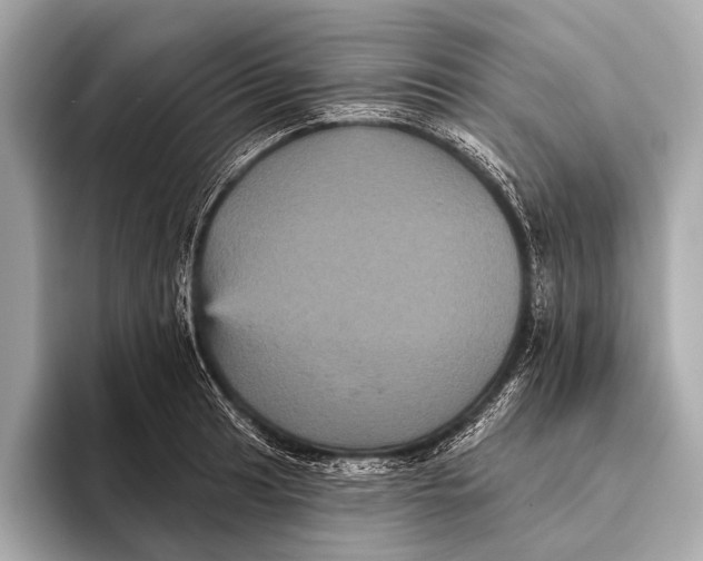 X0000093481041200711020929