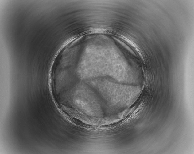 X0000093481042200711020929