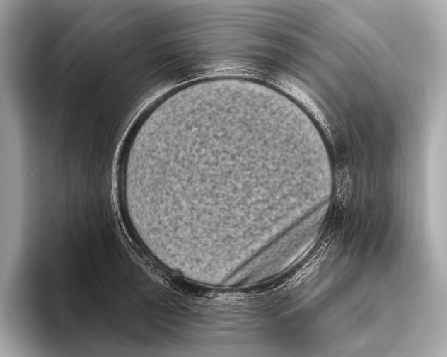 X0000093481043200711020929