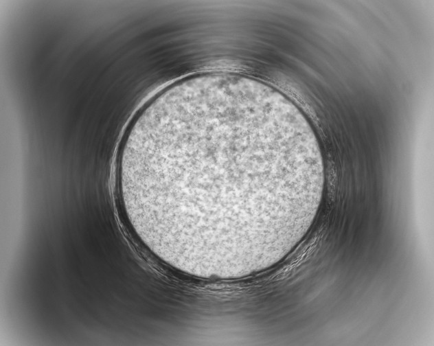 X0000093481044200711020930
