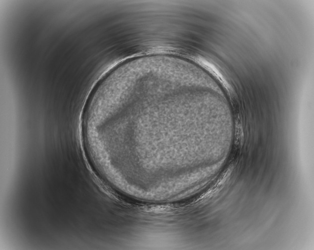 X0000093481047200711020930