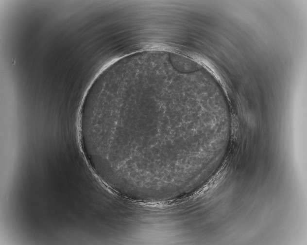 X0000093481048200711020930