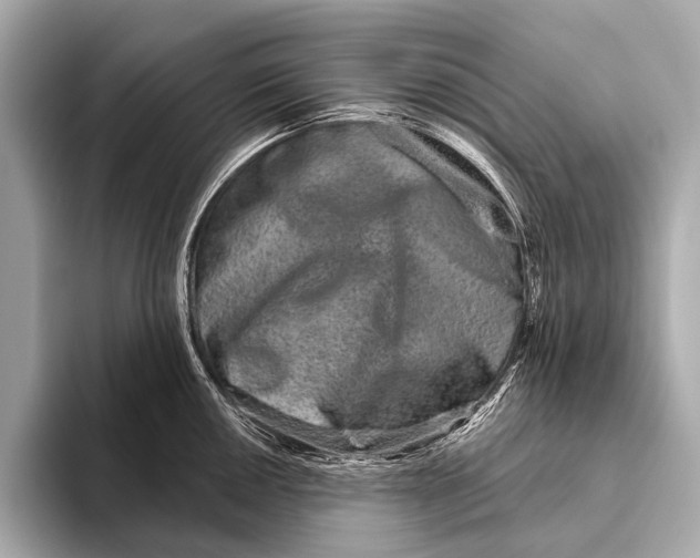 X0000093481050200711020930