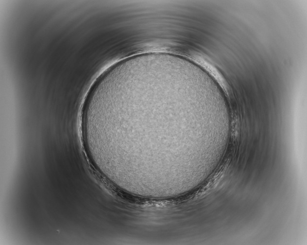 X0000093481051200711020930