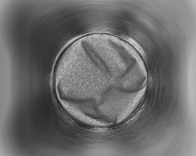 X0000093481052200711020930