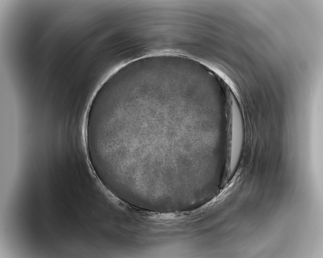 X0000093481054200711020930