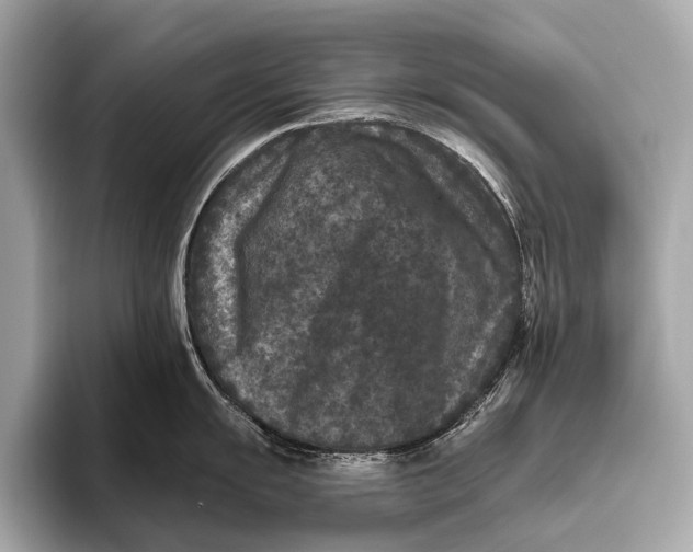 X0000093481055200711020930