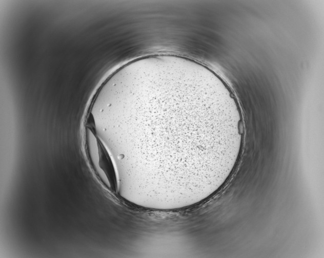 X0000093481056200711020930