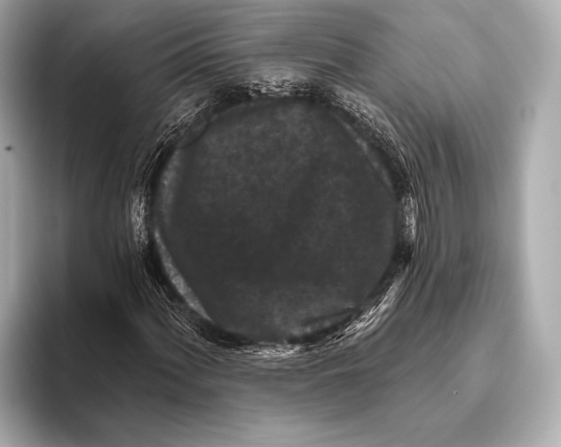 X0000093481060200711020929