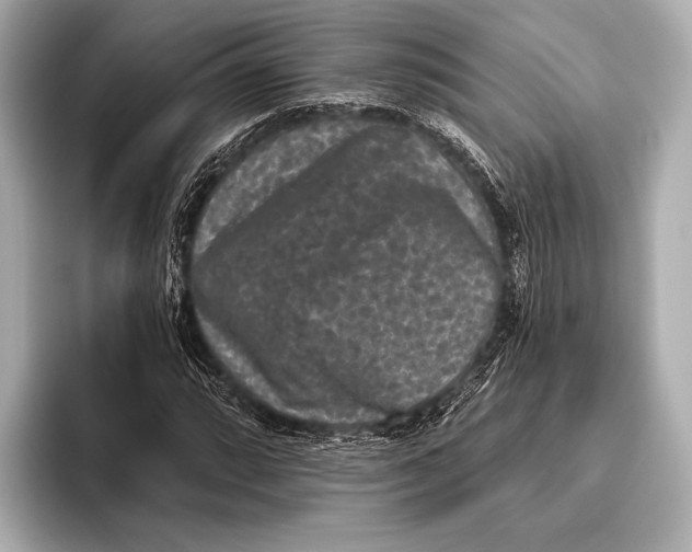 X0000093481064200711020929