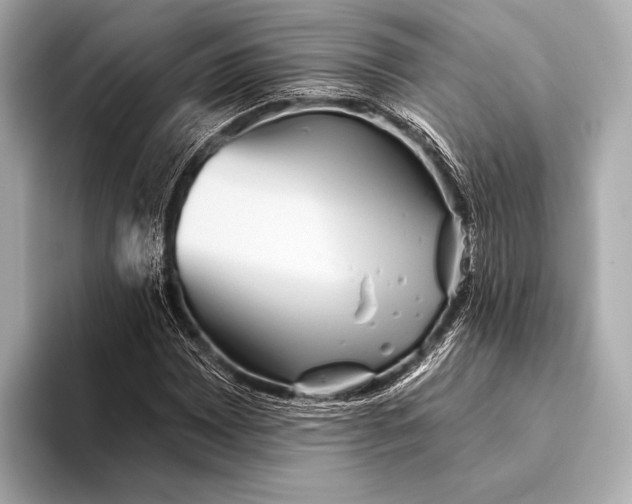 X0000093481065200711020929