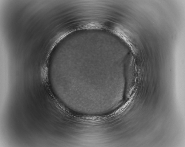 X0000093481066200711020929