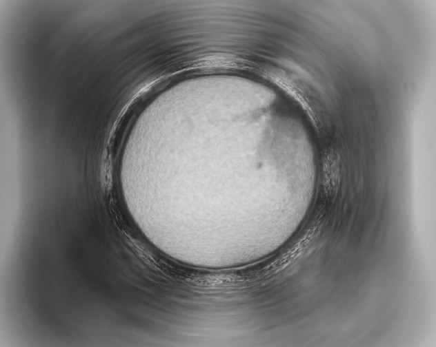 X0000093481067200711020929