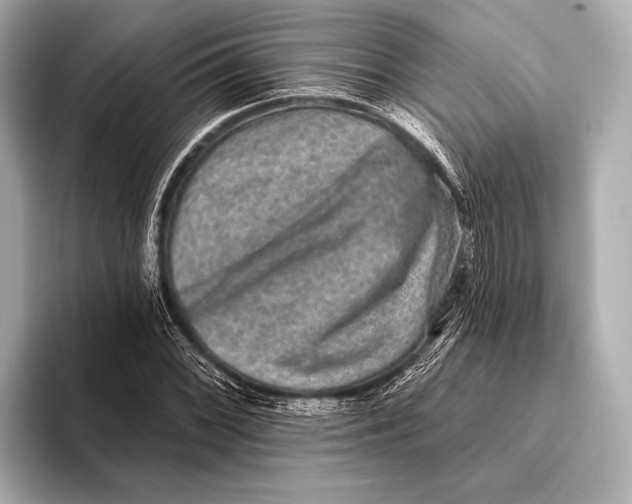 X0000093481068200711020929