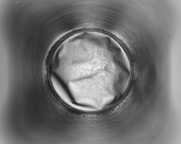 X0000093481070200711020929