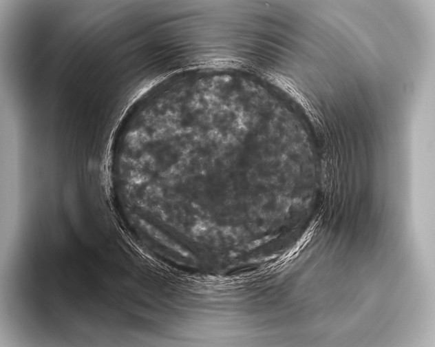X0000093481071200711020929
