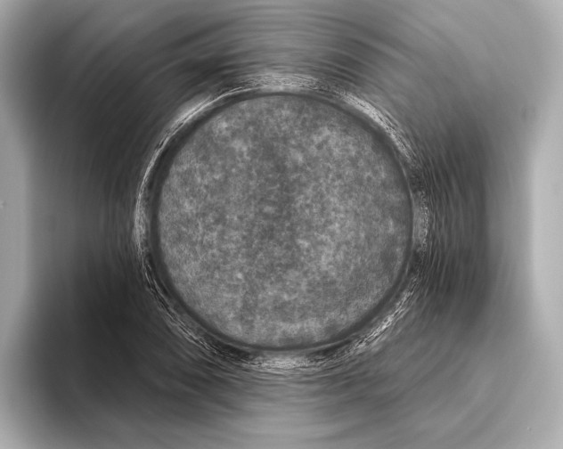 X0000093481074200711020929