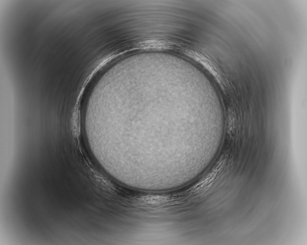 X0000093481075200711020929