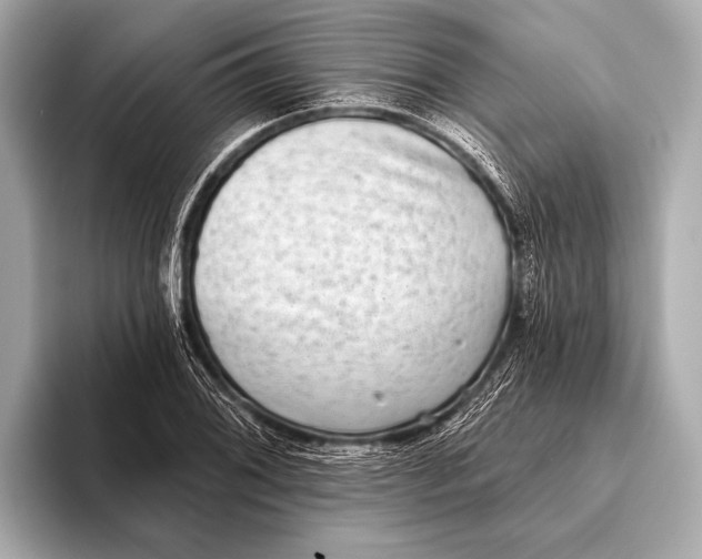 X0000093481076200711020929