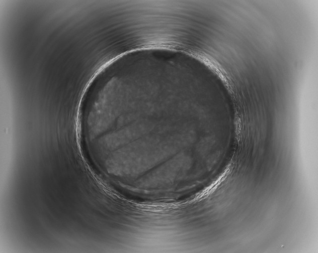 X0000093481077200711020929