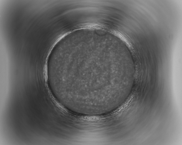 X0000093481079200711020929