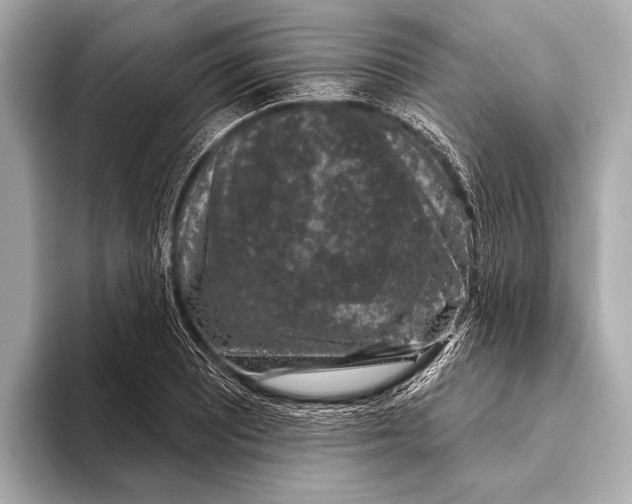 X0000093481081200711020929