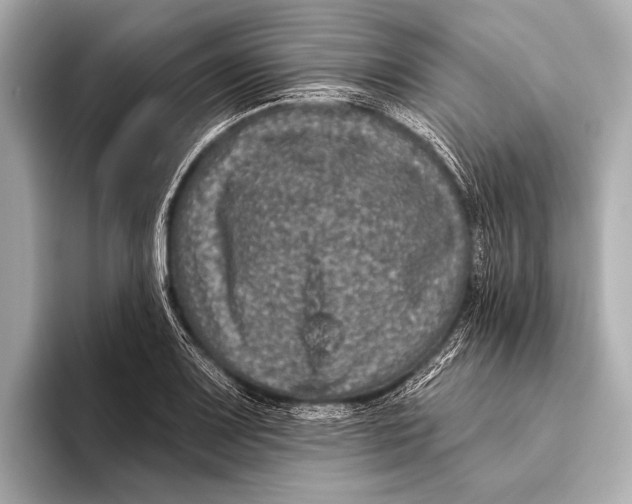 X0000093481083200711020929