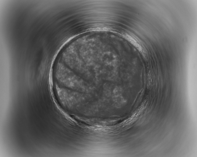 X0000093481084200711020929