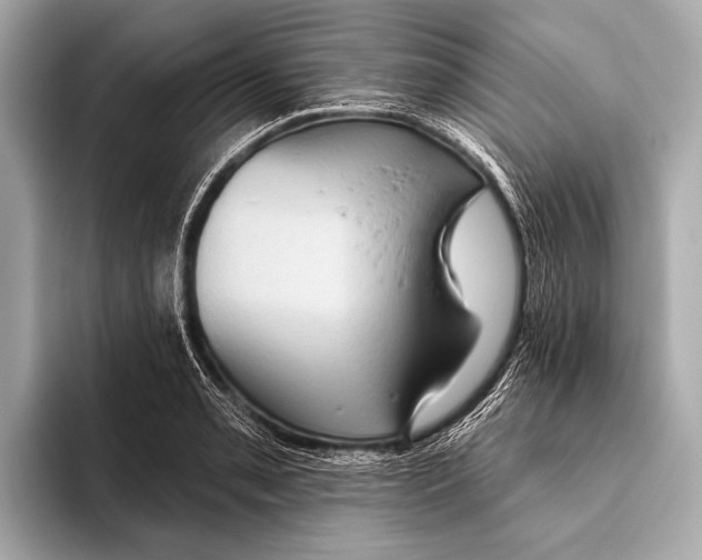 X0000093481085200711020929