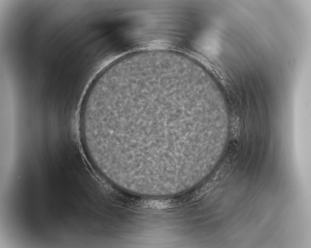 X0000093481086200711020929