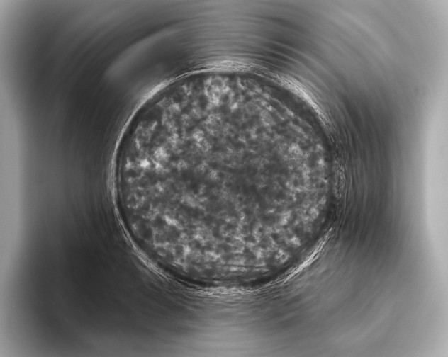 X0000093481087200711020929