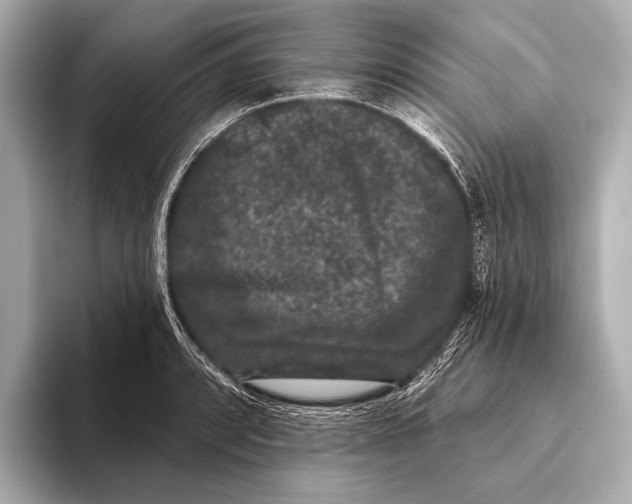 X0000093481088200711020929
